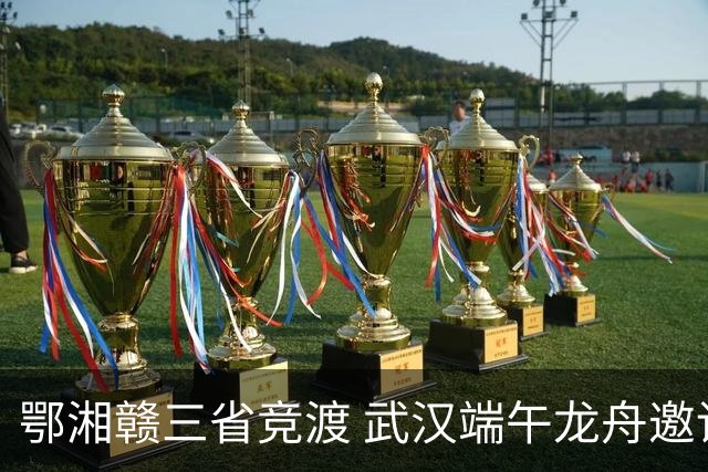 鄂湘赣三省竞渡 武汉端午龙舟邀请赛收官